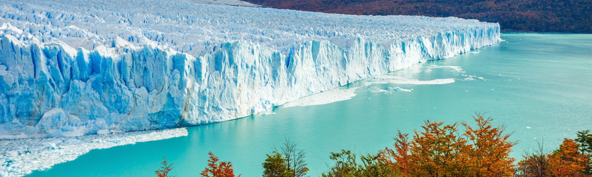 EL CALAFATE